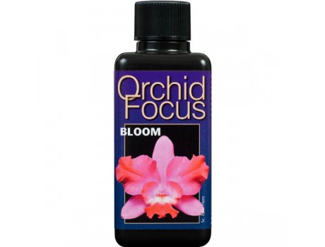 Orchid Focus Bloom 1 l Великобритания купити в Україні фото